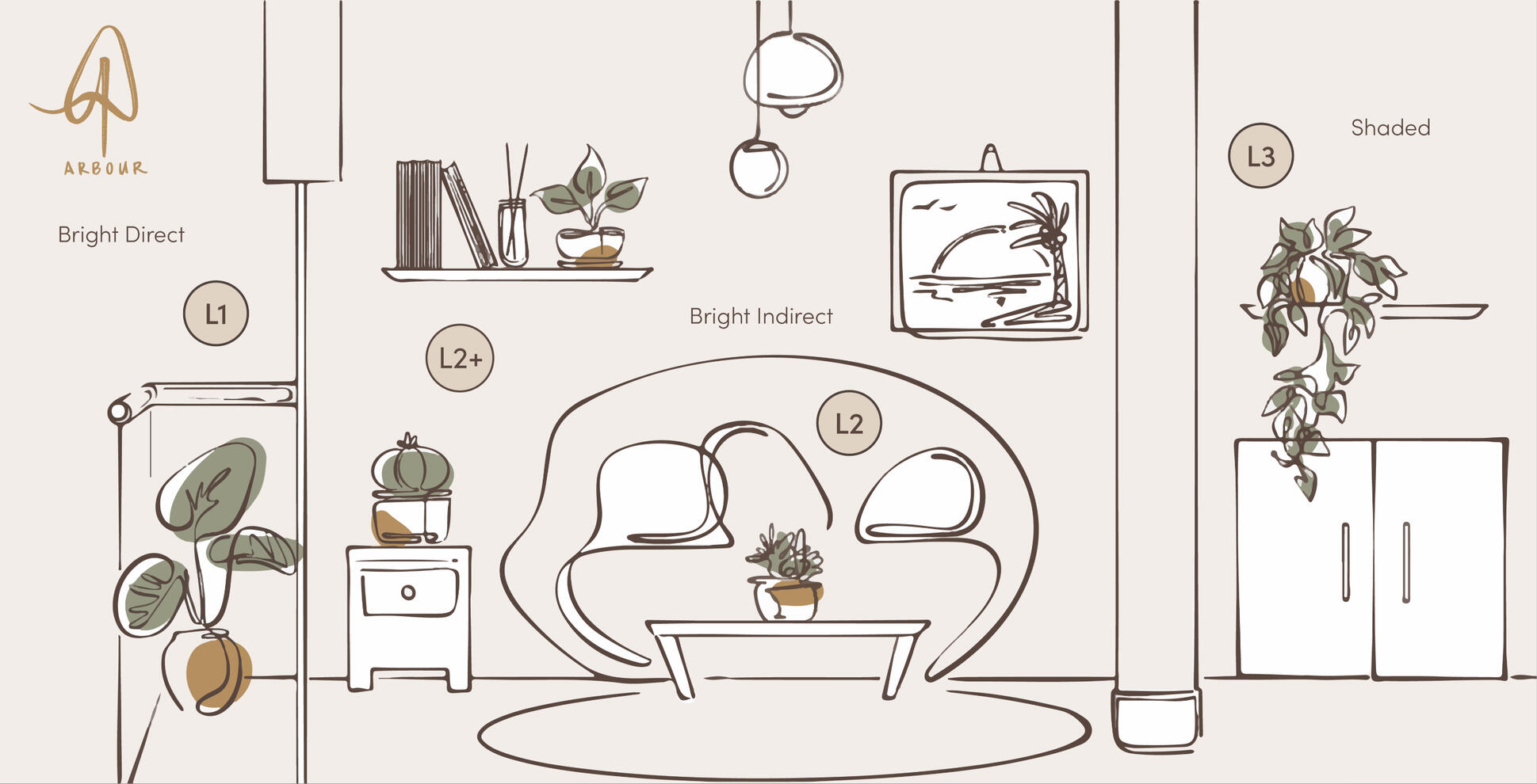 ② Refer to the Sunlight Chart above for your plant's light requirements