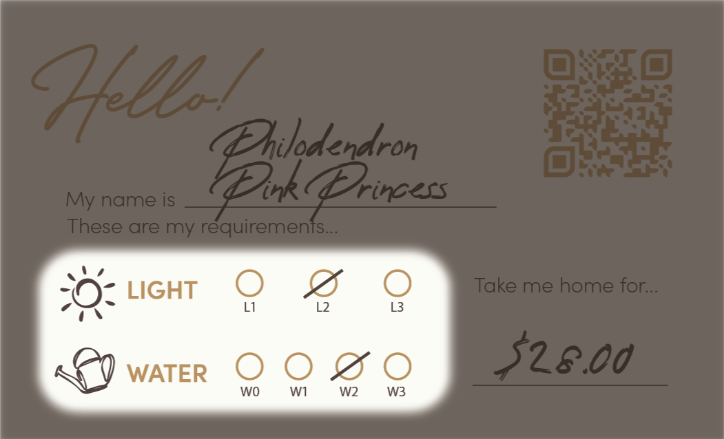 ① Check your Plant Key to get your plant's light intake levels